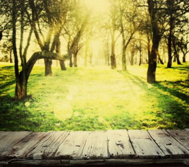 Otsu çayır üzerinde güzel doğa 