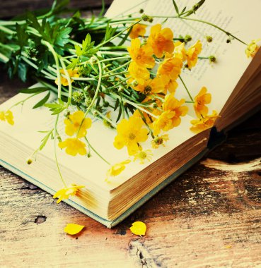 Açık kitap üzerine parlak sarı zemin çiçek 