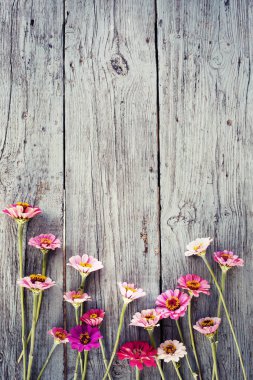ahşap rustik yüzeyi parlak alan çiçek