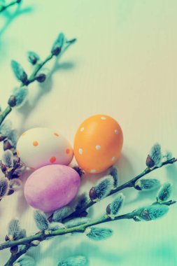 Tablo renkli boyalı Paskalya yumurtaları dalları ile portre görünümünü