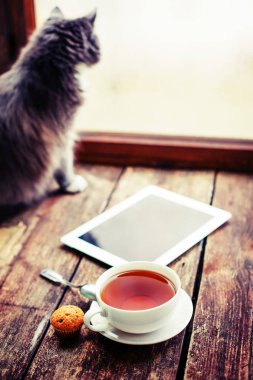 fincan çay ve kedi ile ahşap masa boş tablet cihaz