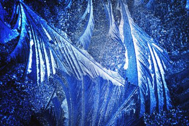 hoarfrost makro görünümünü kapatmak ateş 