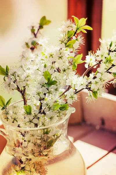 Erstaunliche Blühende Blumen Mit Laub Und Kräutern — Stockfoto