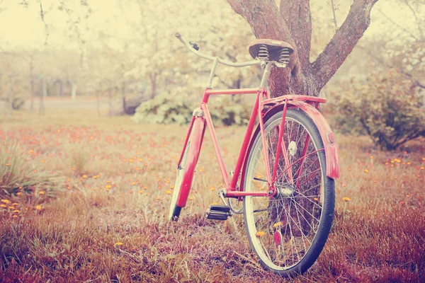 Vintage Czerwony Rower Parking Obok Drzewa Parku — Zdjęcie stockowe