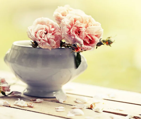 Свіжі Рожеві Піоноподібні Троянди Горщику Садовому Столі — стокове фото