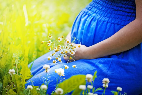 Young Pregnant Woman Chamomiles Hand Sitting Field — Stock Photo, Image