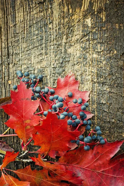 在木背景上放置浆果的秋叶的顶部视图 — 图库照片