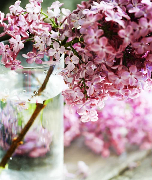 Цветущие Розовые Пастельные Цветы Вазе Столе — стоковое фото