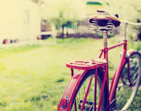 Hermosa Naturaleza Con Bicicleta Prado Herboso — Foto de Stock