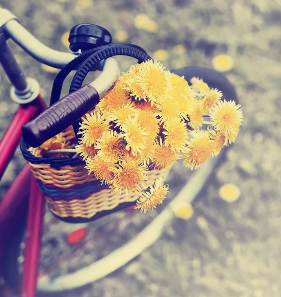 Fresh Yellow Dandelion Basket Bicycle Seat Countryside — Stock Photo, Image