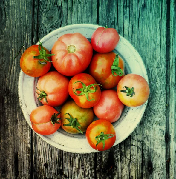 Prato Com Tomates Maduros Sobre Fundo Madeira — Fotografia de Stock