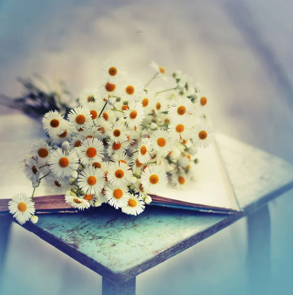素朴な木製のスツールに開いた本の新鮮な鎮静の花束 — ストック写真