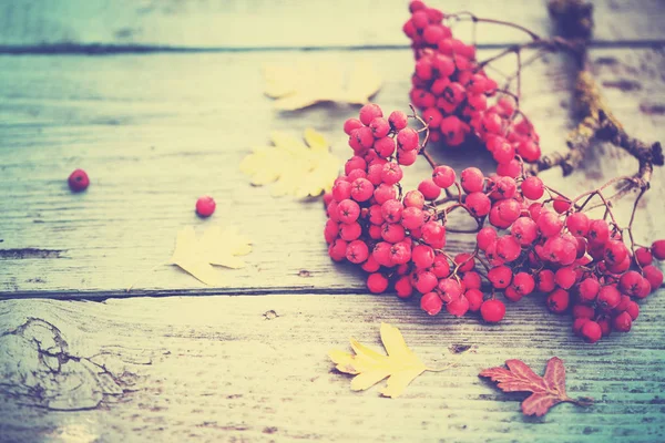 秋の平面図の木製の背景に置かれた果実と葉します — ストック写真
