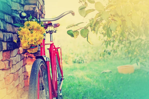 Bicicleta Roja Pie Cerca Pared Ladrillo Jardín Verde — Foto de Stock