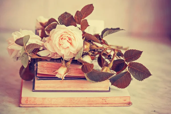 Primer Plano Sobre Rosas Pastel Libros Vintage — Foto de Stock