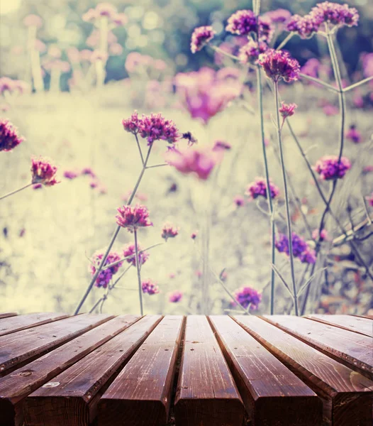 Krásné Světlé Květiny Zahradě Dřevěný Povrch — Stock fotografie