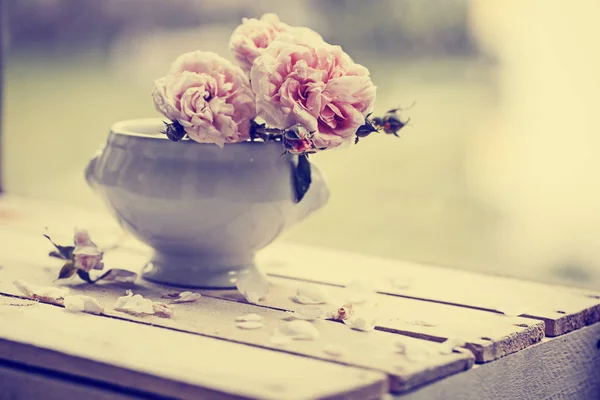 Fresh Pink Peony Roses Pot Garden Table — Stock Photo, Image