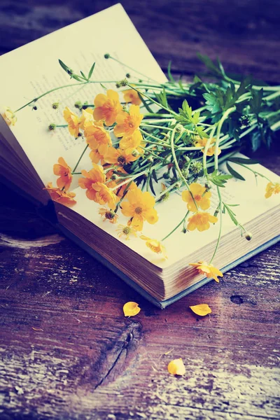 Açık Kitap Üzerine Parlak Sarı Zemin Çiçek — Stok fotoğraf