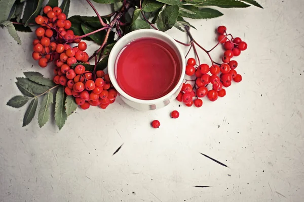 Hierbas Taza Con Bayas Rojas Mesa —  Fotos de Stock