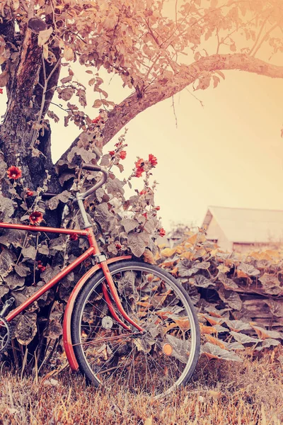 Vélo Rouge Debout Dans Jardin Vert Près Maison — Photo