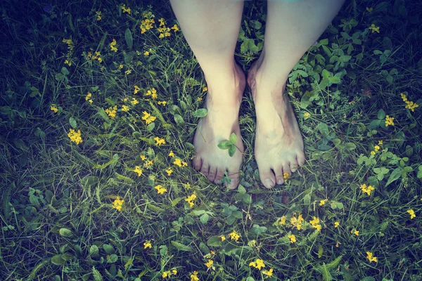 Kobiece Stopy Stojący Zielonej Trawie Żółte Kwiaty — Zdjęcie stockowe