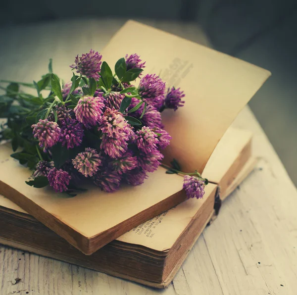 Nahaufnahme Von Chrysanthemenblumen Die Über Alten Büchern Liegen — Stockfoto