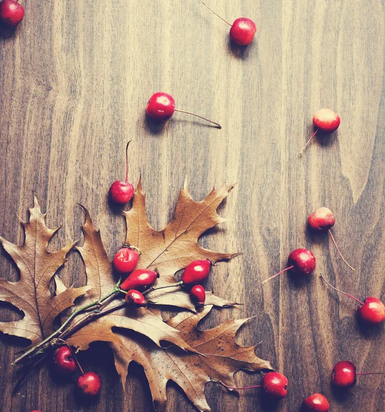 Top View Autumn Leaves Berries Placed Wooden Background — Stock Photo, Image