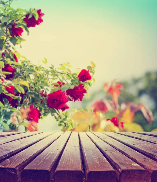 Fondo: jardin | Borrosa de fondo jardín patio vintage con perspectiva