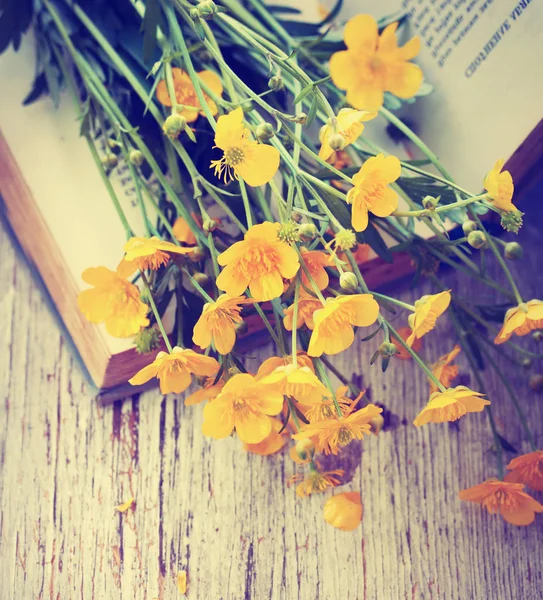 開かれた本の明るい黄色の野の花 — ストック写真