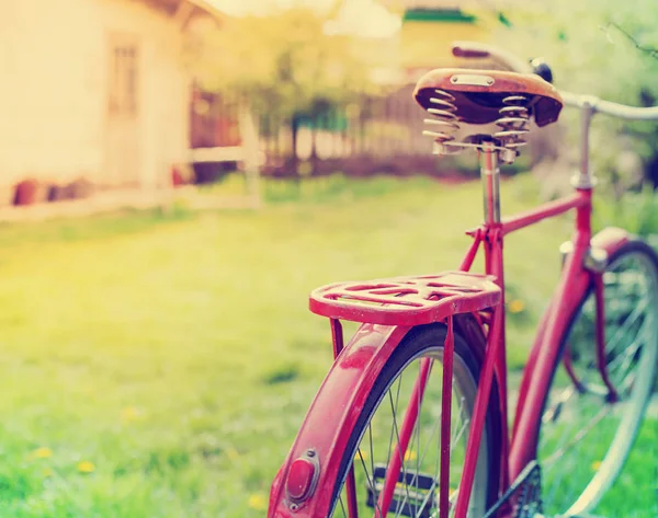 Schöne Natur Mit Fahrrad Auf Der Wiese — Stockfoto