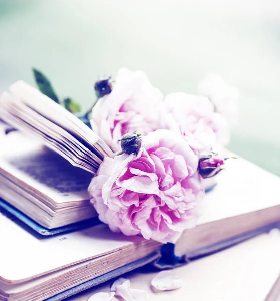 Pink Peony Roses Open Book — Stock Photo, Image