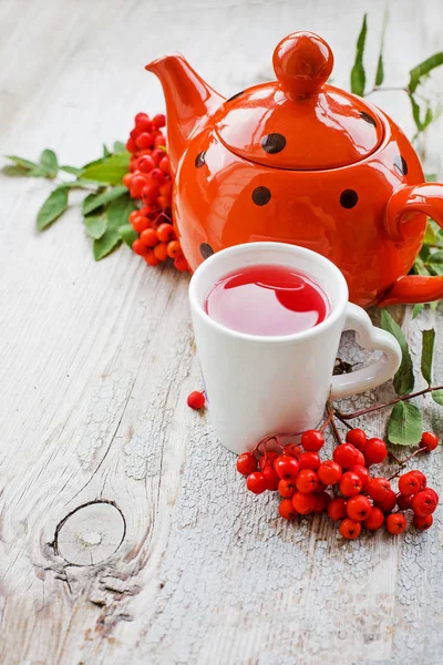 Herbatę Czerwone Jagody Dzbanek Herbaty Kropkami — Zdjęcie stockowe
