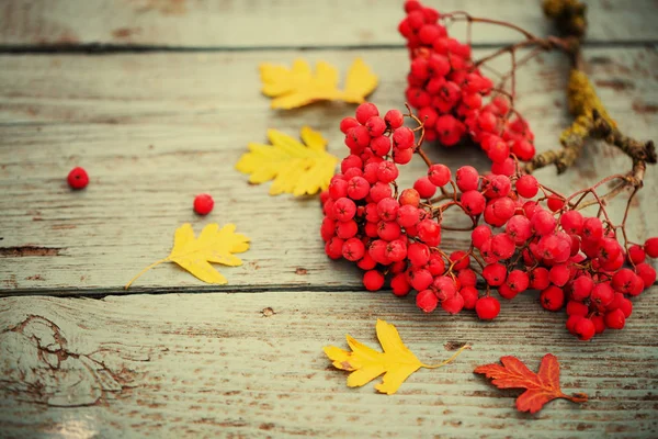 Blick Von Oben Auf Herbstblätter Und Beeren Auf Holztisch — Stockfoto