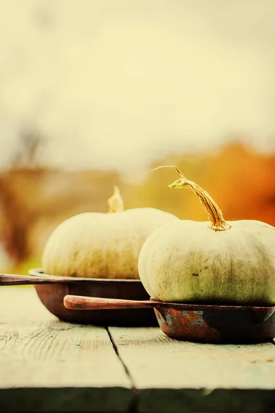 Citrouilles d'automne sur table rustique en bois — Photo