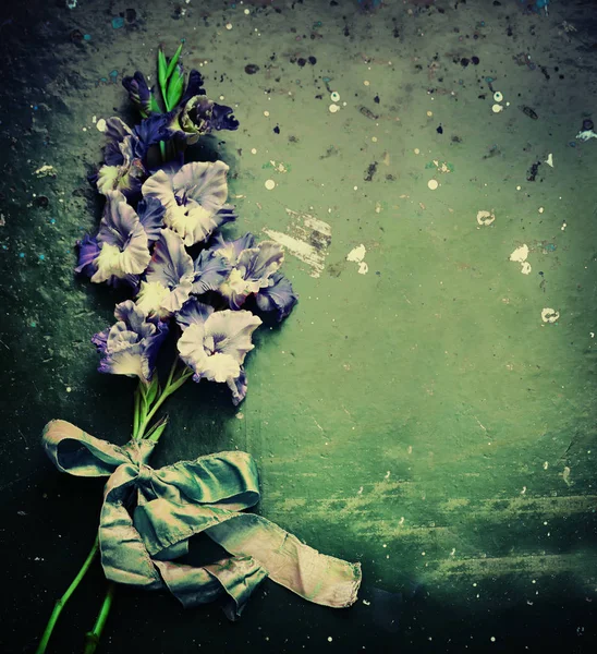 Дивовижні Квіти Листям Травами — стокове фото