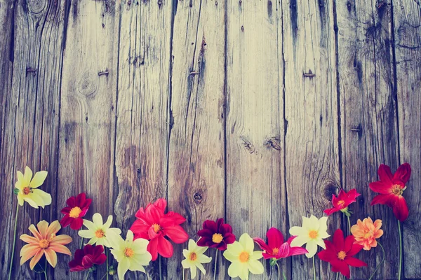 Fleurs Différentes Colorées Sur Fond Bois — Photo