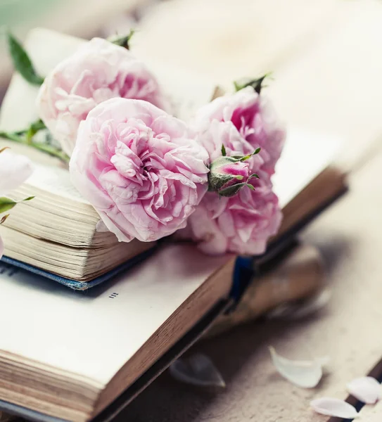 積み上げ公開古書にピンクの牡丹のバラ — ストック写真