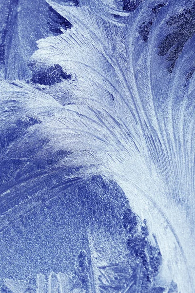 Πυροβολούν Closeup Προβολή Της Μακροεντολής Παγετός — Φωτογραφία Αρχείου