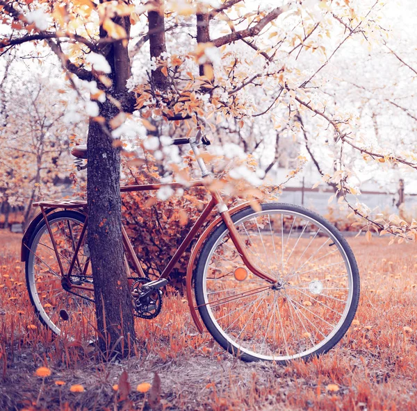 Vintage Czerwony Rower Parking Obok Drzewa Parku — Zdjęcie stockowe