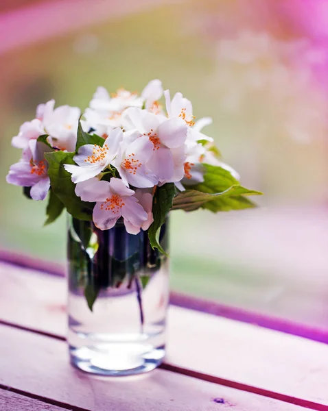 Strauß Weißer Narzissen Vase Auf Fensterbank — Stockfoto