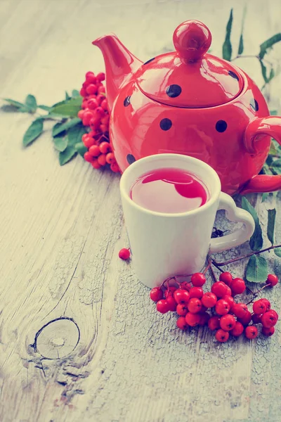 Hierbas Taza Con Bayas Rojas Mesa —  Fotos de Stock