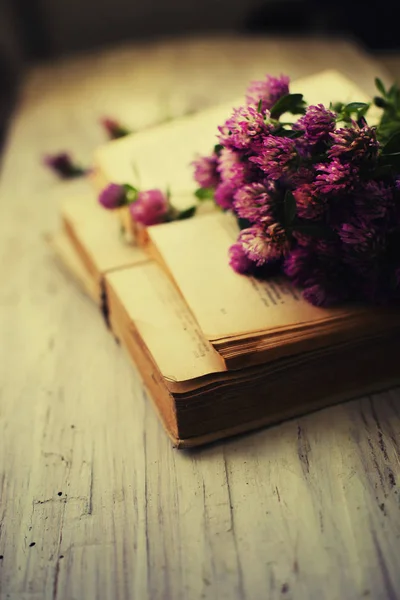 Närbild Bild Krysantemum Blommor Liggande Över Vintage Böcker — Stockfoto