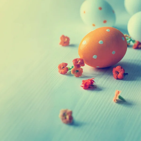 Προβολή Closeup Της Πολύχρωμα Βαμμένα Αυγά Του Πάσχα — Φωτογραφία Αρχείου