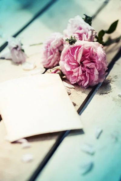 Pink Peony Roses Blank Card — Stock Photo, Image