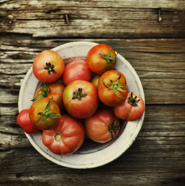토마토 배경에 플레이트 — 스톡 사진