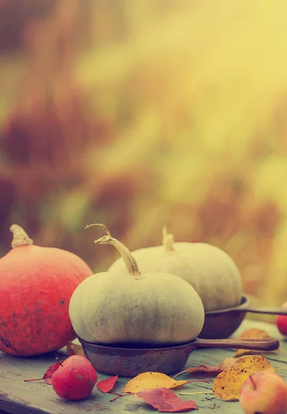 Citrouilles d'automne sur table rustique en bois — Photo