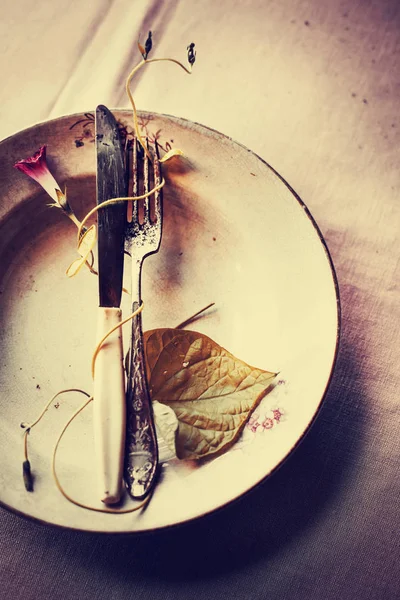 ビンテージ キッチン用品 ナイフとフォークをテーブルの上にプレートのクローズ アップ ビュー — ストック写真