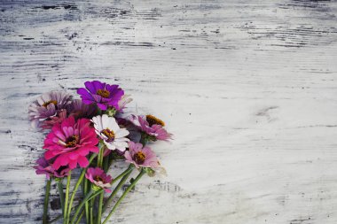 ahşap rustik yüzeyi parlak alan çiçek