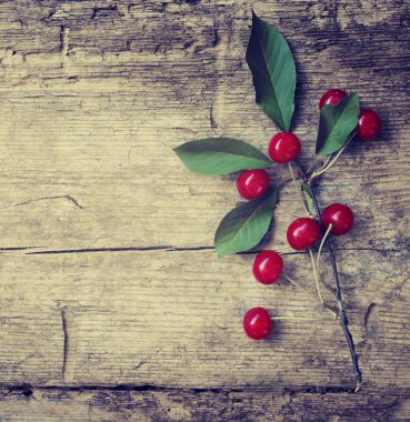 Olgun Kırmızı Kiraz ahşap arka plan üzerinde yapraklarla dalı