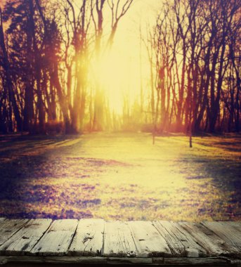 Otsu çayır üzerinde güzel doğa 